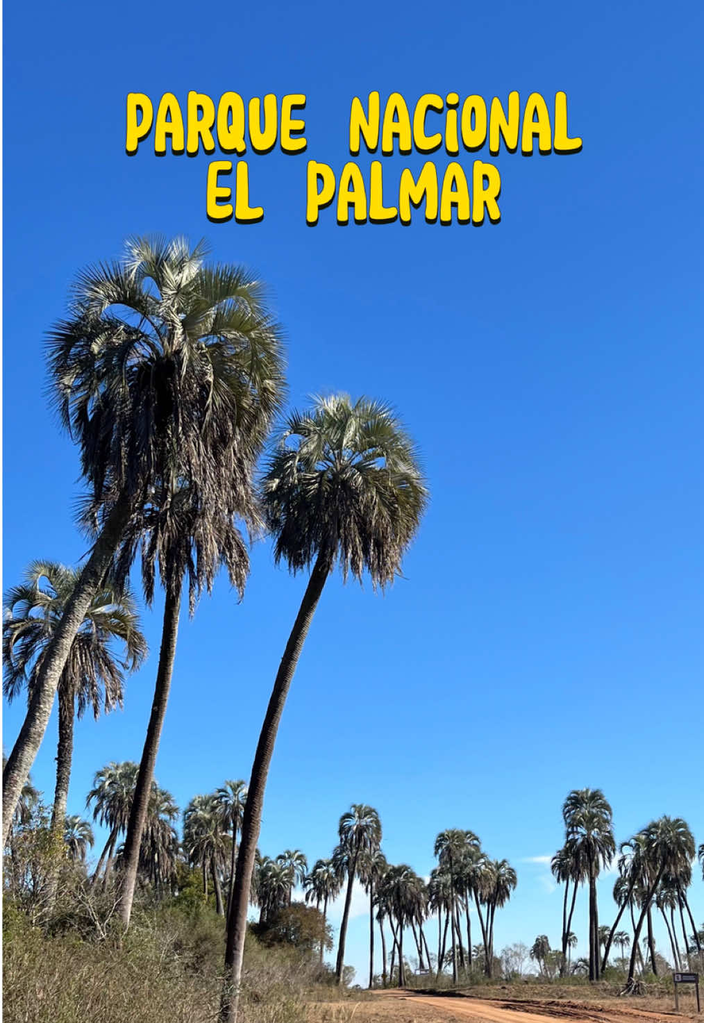Veniiii, vamos a recorrer El Palmar juntxs 💘✨ #EntreRíos #ElPalmar #Argentina #Turismo #MedioAmbiente 