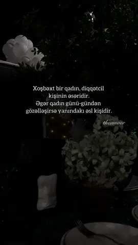 #theamoorr #keşfet 