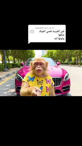 الرد على @rancy617 🩷😂 #قرود #explore #fyp_viral_tiktok #viral #lili #foru #fyp #fyppppppppppppppppppppppp #veo3 #ai 