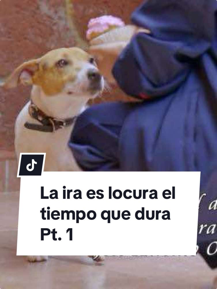#ElDicho☕: Fausto debe pagar por lo que le hizo a Rufus 1/5  #ComoDiceElDicho #Entretenimiento #Televisa  #Drama