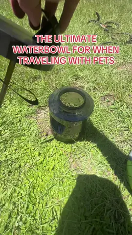 Definitely a game changer for traveling with pets #pet #travel  #TikTokMadeMeBuyIt #sahm 