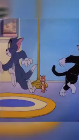 #🤣😂 .