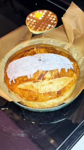 Heeehee sorry forgot to post the results, here you go 🥺🫳🏼🥖 #sourdoughbread #sourdoughbreadbaking #sourdoughpainting #sourdoughbaking 