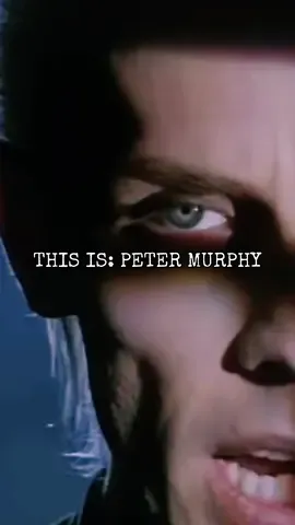THIS IS: PETER MURPHY  The godfather of goth. The velvet voice of darkness. From Bauhaus’ “Bela Lugosi’s Dead” to his solo masterpieces like Cuts You Up, Peter Murphy shaped the sound—and the soul—of an entire subculture. He didn’t follow trends. He became the icon. A shadowy poet. A dramatic force. A legend wrapped in smoke and eyeliner. 🖤 This is Peter Murphy. And the night still listens when he sings. #PeterMurphy #Bauhaus #GothIcon #DarkWave #PostPunk #GothicRock #ThisIsPeterMurphy #CutsYouUp #BelaLugosisDead #Goth #AlternativeLegend #80sUnderground