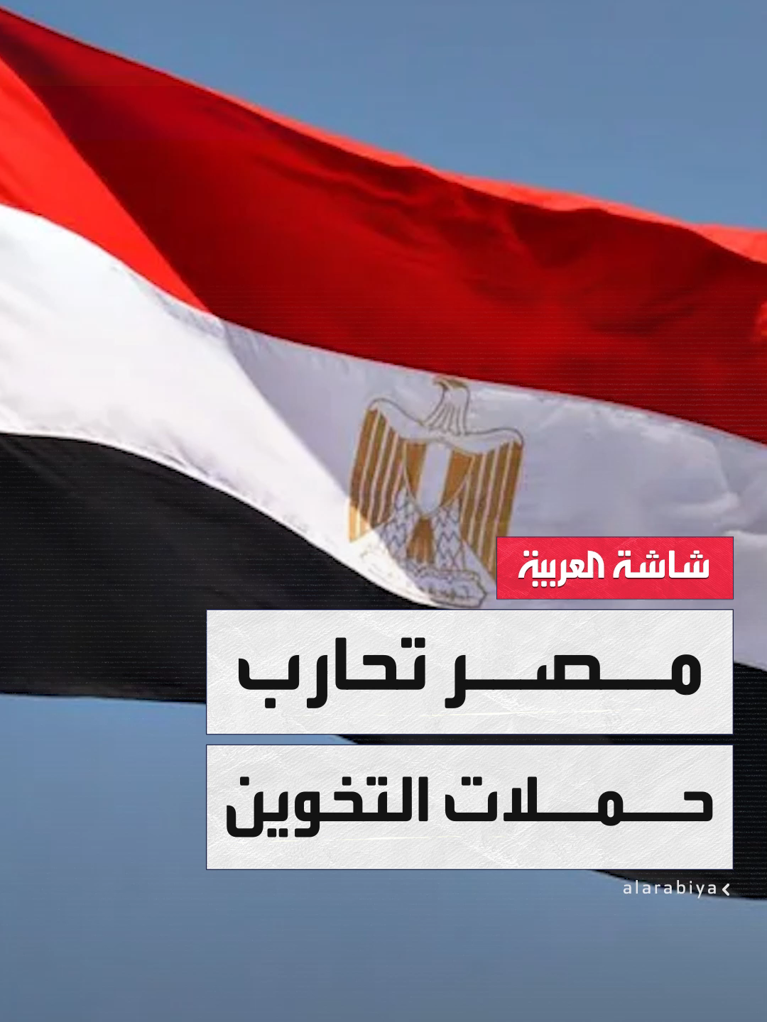 #مصر تحارب حملات تخوين وتشكيك ممنهجة تقودها منصات رقمية تابعة لجماعة الإخوان.. تبث روايات مضللة ضد الدولة مستغلة القضية الفلسطينية لتشويه صورتها إقليميًا ودوليًا #الأسبوع_وما_بعد #قناة_العربية
