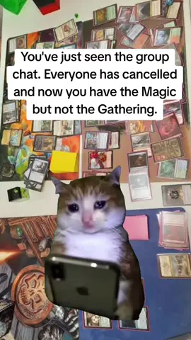 #Meme #MemeCut #CapCut #cardgame #card #deck #mtg #commander #tabletopgaming #magicthegathering #foryou #gathering #mtgcommander #mtgfam #magicthegatheringfyp #mtgtiktok #foryoupage #groupchat #chat #cat #cats #catsoftiktok 