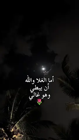 #اكسبلور #fypシ #لايك #بوح #اكسبلورexplore #like #قصيد 