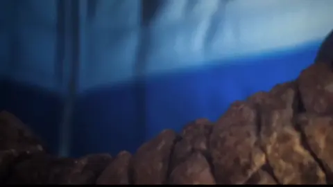 #franklinrichards #podercosmico #FantasticFour #Los4Fantásticos #paratii #marvelstudios 