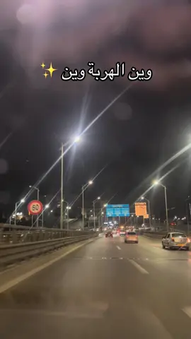 #fypシ゚ #fypp #الجزائر #foryoupage #storytime #chlef02 #elkala_algeria🇩🇿🇩🇿🇩🇿🇩🇿 #الشعب_الصيني_ماله_حل😂😂 #algeria 