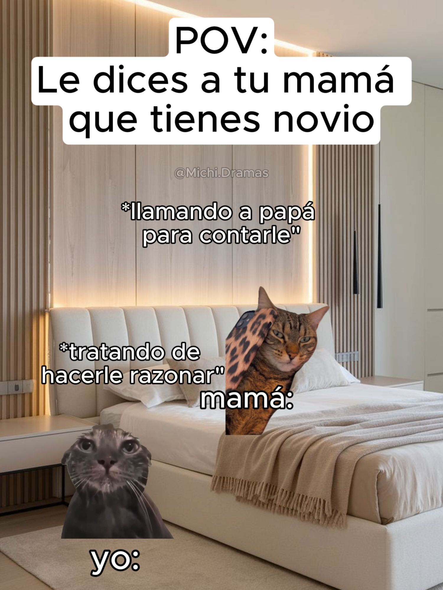 POV: Le dices a tu mamá que tienes novioe😥​😂​ #catmeme #divertido #gatostiktok #gatosdetiktok #gatos #humor #risas #gatosgraciosos #gatosdivertidos😄 #catsoftiktok #funn #funnytiktok #mamá #noviosgoals #novios #couple #couplegoals #mamás