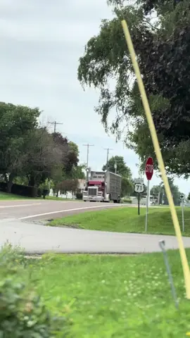 @ospadilla @leo389r #fypp #fyp #fyppppppppppppppppppppppp #cattlepotpimpin #watermelonlights #glassisclass #389 #hogs #smoke #coal #blowingsmoke #blacksmoke #fypシ #cattle #semi #peterbilt #peterbilt389 