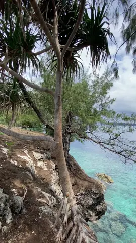 Banda Neira adalah rumah bagi jiwa-jiwa yang ingin merasakan pulang.  📍Pulau Sjahrir, Banda Neira, Maluku Tengah.  #fypppppppppppppppppppppp #bandaneirapride🏝🔥 #fypシ゚ #bandaneiramaluku #malukutengah #bandaneiramaluku #explorebandaneira #exploremaluku #foryoupage 