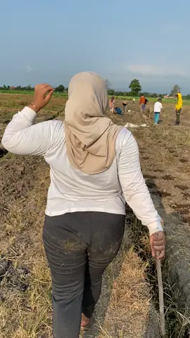 Bokonge pajero🤣