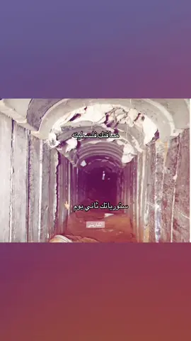 #الاردن #Jordan 