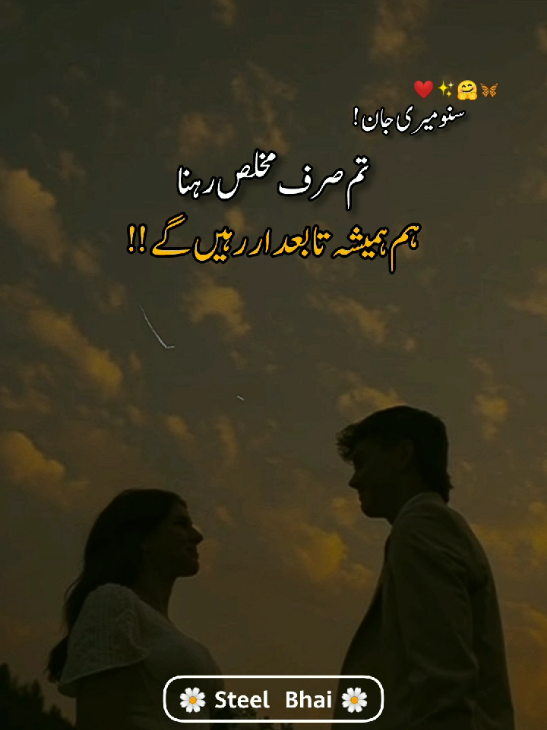 ❤️🤗🦋💫#lovestory #Love #lovepoetry #cuples #plzviral🥺🥺🙏🙏foryoupage #grow #steelbhai 