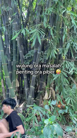 guyon lo cah #layangan #sendaren #layanglayang #xyzbca #fyp 