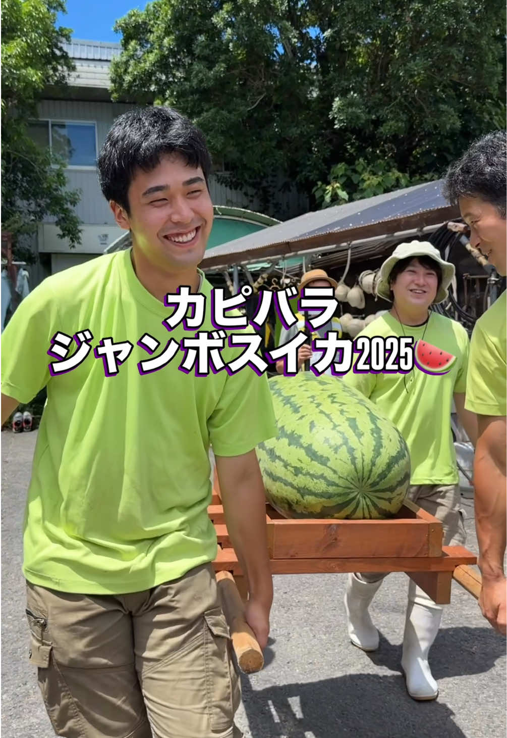 カピバラのジャンボスイカタイム🍉 #スイカ #watermelon #カピバラ #capybara