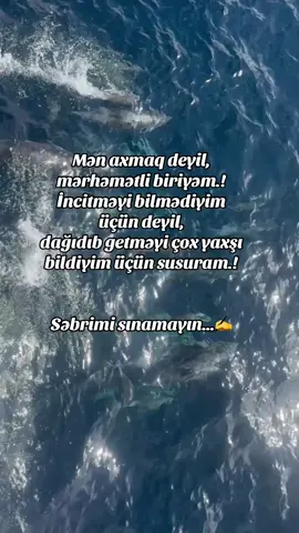 #kəşfet #fypageシ #kəşfetazərbaycan🇦🇿❤️ 