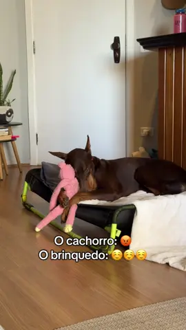 kkkkkk não aguento. #cachorro #doberman #nero