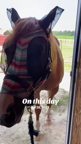 #onthisday 