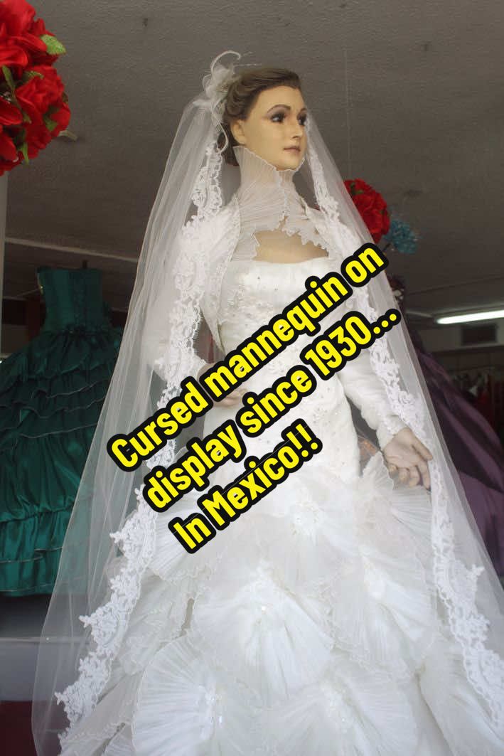 She’s been standing in the window of a small bridal shop in Chihuahua, Mexico since 1930 dressed in lace, frozen in time. But look closely, and you’ll notice things mannequins shouldn’t have: tiny veins in her hands, real eyelashes, eyes that seem just a little too… aware. According to local legend, she was the shop owner’s daughter. A beautiful bride-to-be who died suddenly after a scorpion sting on the day of her wedding. Her mother — unable to let go — allegedly had her body embalmed and placed in the window, forever wearing the dress she never got to walk down the aisle in. People say she’s cursed. That she moves at night. That if you stare at her long enough… she’ll stare back. This isn’t just a mannequin. This is La Pascualita. And she might still be alive. #horror #paranormal #scary #mexicanfolklore #lapascualita #chihuahuamexico #mexicanhorror 