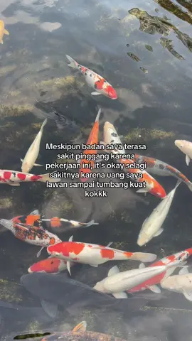 Benar kannn
