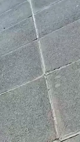 #CapCut 