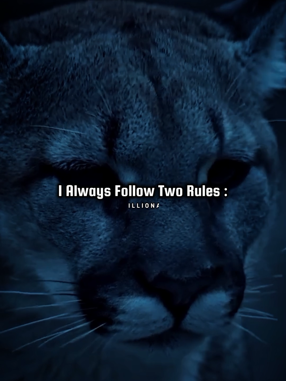 Motivational quotes...🔥💯 . . . #sigma #sigmarule #sigmamotivation #motivation #motivationalquotes #motivationallines #attitudestatus #lionattitudestatus #studymotivation #mindset #journey #goal #focus #dicipline #workhard #success #successquotes #successmindset #foryou #fyp #foryoupage #trending #viral #tiktok #editing #motivationalvideo 