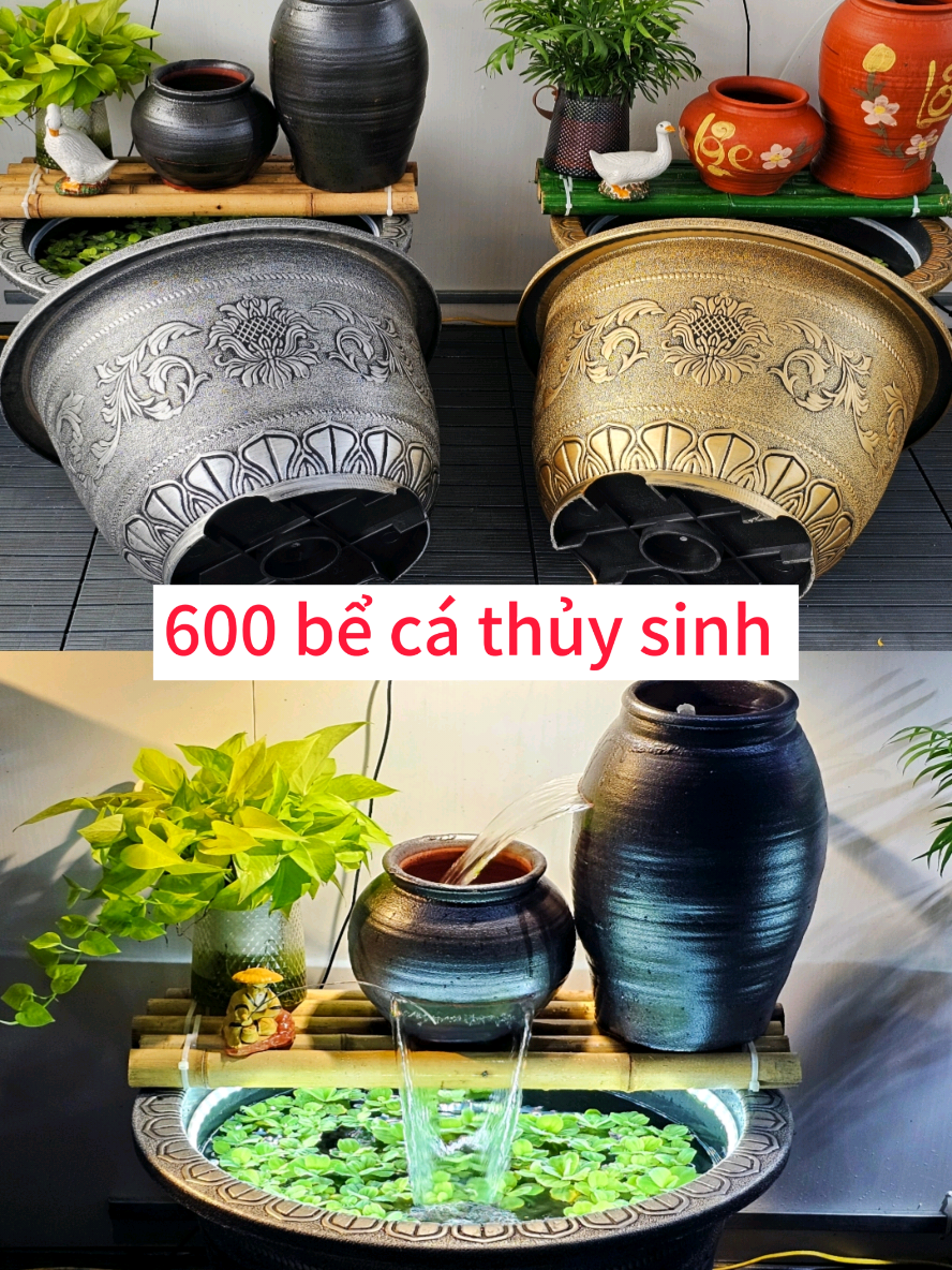 Bể cá thủy sinh bình gốm nâu.Tổng kho chậu hoa. #tongkhochauhoa #becathuysinh #chaunhuagiadong #xuhuong #xuhuongtiktok #xuhuongtiktok2025 