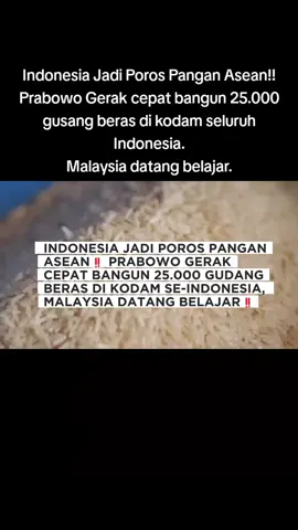 #hippoacademy  #capcut  #prabowo  #prabowosubianto  #prabowopresiden2024  #prabowogibran2024 
