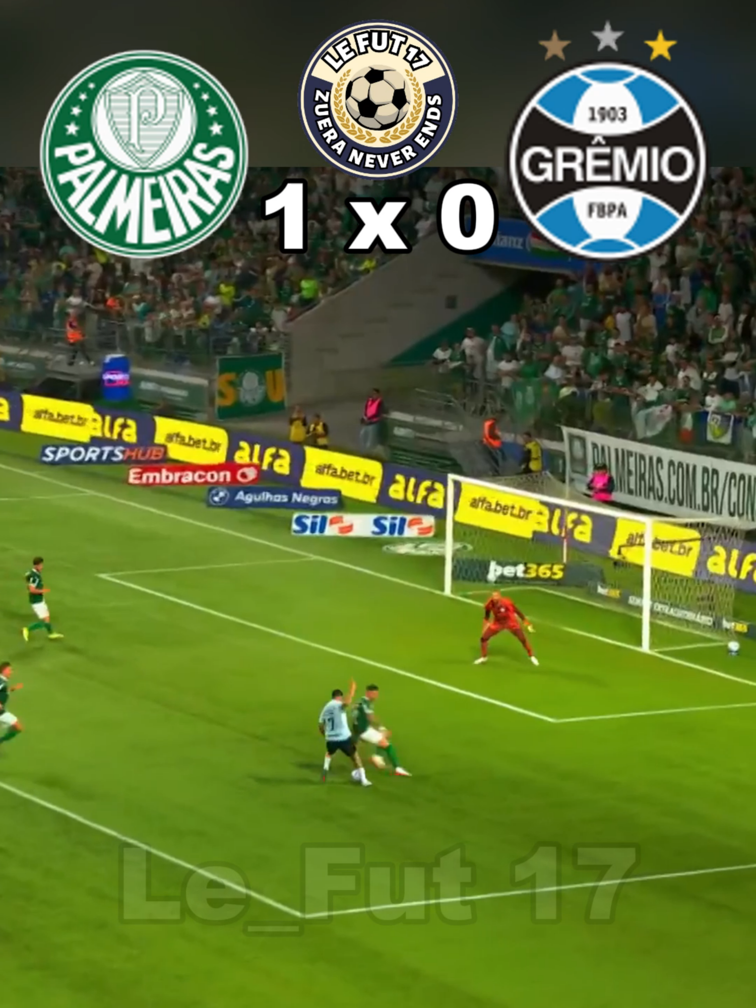 palmeiras x grêmio #futebol #palmeiras #verdao #brasileirao #gremio #gremiomaiordosul💙🖤🤍 #gremiocopeiro #fut #futbol⚽️ #futeboldazueira #videoviral