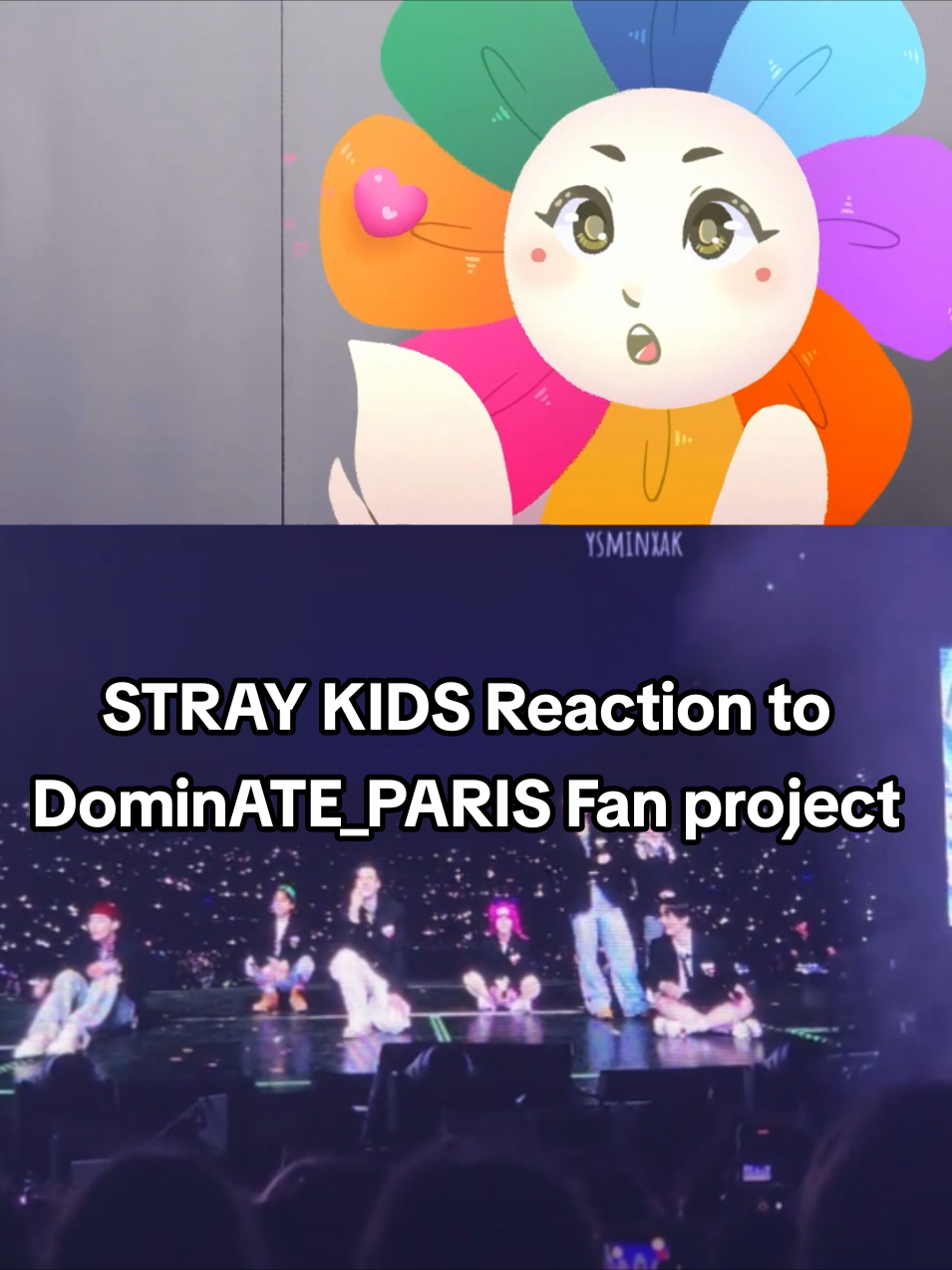 Stray Kids reaction to DominATE_Paris fan project  big thank you StrayKidsFrance for organizing the fan project, it was one of the best fan project for DominATE world tour ❤️ #dominate_paris #straykidsdominateworldtour #straykids #skz #stay #skzstay #straykidsstay #skzfyp #straykidsedit 