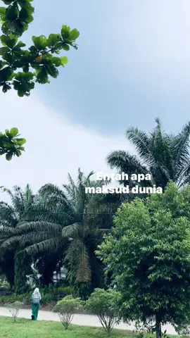 #tulus #fypシ 