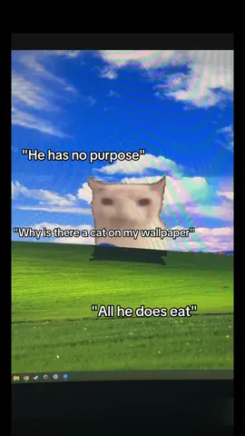 Bro got possessed by Von😔#tech #techtok #pcgaming #funny #cat #kingvon #antipiracy 