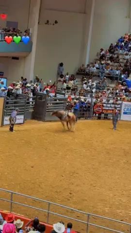 Dallas black rodeo #rodeo #blackrodeo2025 #dallastx #bullriders 
