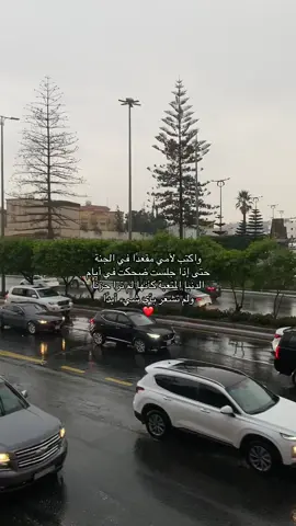 أذكرو أمي بدعوه الله يرحمها ويغفرلها .#اللهم_ارحم_امي #اجر_لي_ولكم #fyp #foryou #foryoupageofficiall #
