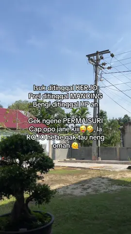 Ganti ae lagune lek #fyp #fyppppppppppppppppppppppp #story #foryou #kabarinkalomasukfyp #masukberandamuu #xyzbcafyp 