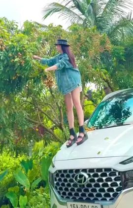 Về quê bẻ trộm nhãn 😂😂😂😂