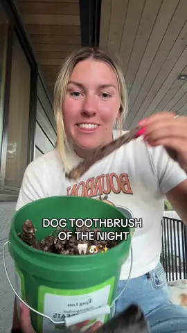 Dog tooth brush of the night 🫡 every night is something different. These single ingredient chews realllyyy help clean their teeth and it gives them nutrients and so many benefits too!  #dogtoothbrush #dogteethcleaning #dogchew #dogmom#cattledog #highenergydog #dogsoftiktok 