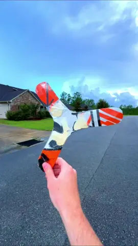 #fyp #etgcbbs #cardboard #boomerang 