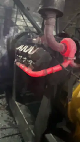 يجيك واحد راسه مربع يكلك شمشغل كلها وطنيه 