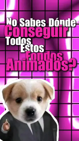 Otro tuto?? 🫡 #pinterest #fondos #fondosanimados #memes #tutorial #EditReal #fyp #parati #viral 