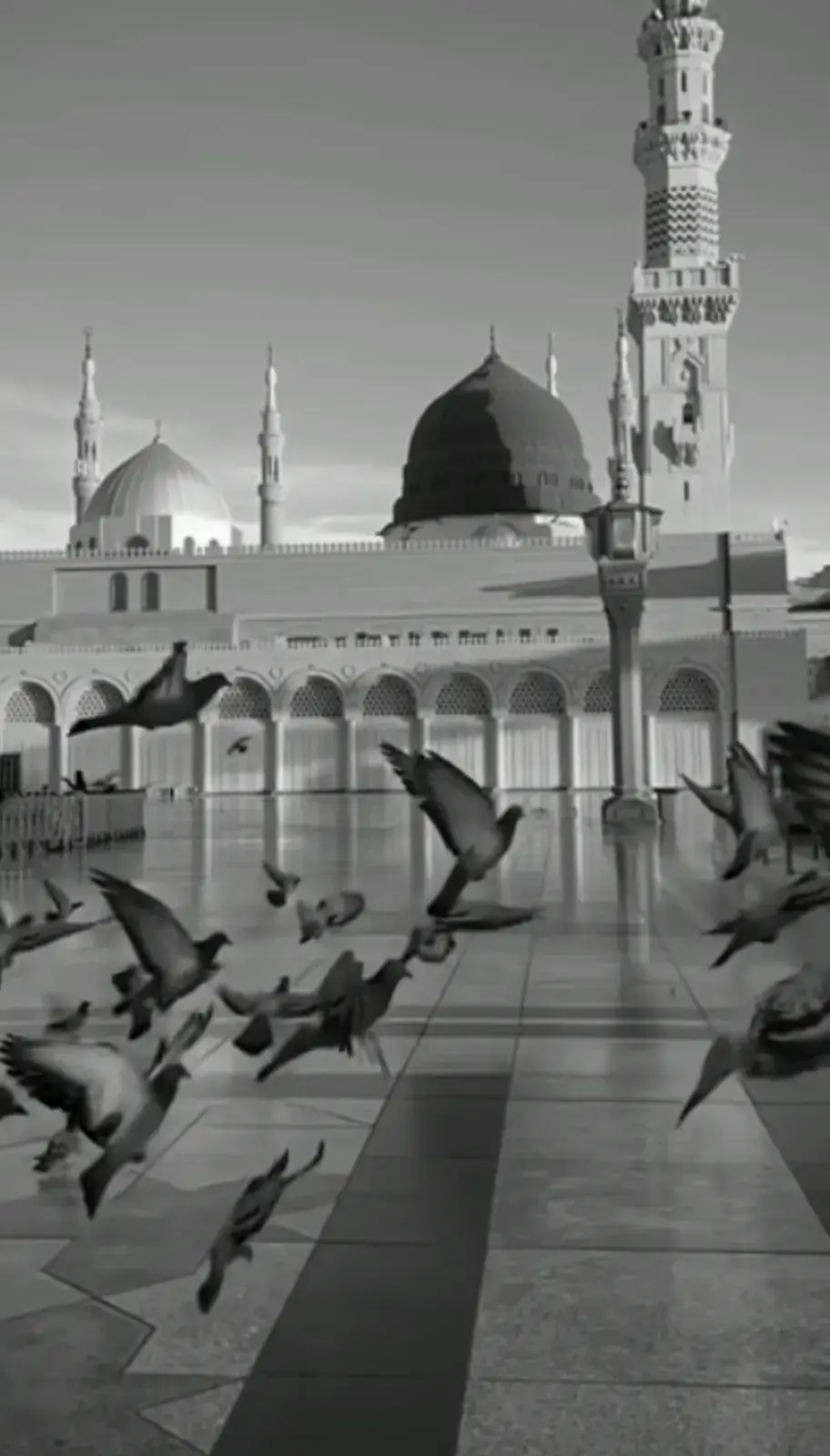 madinah munawra Madinah, the City of the Prophet, shines bright A beacon of faith, where Islam's history takes flight The Masjid an-Nabawi, a mosque of grandeur and might Where the Prophet Muhammad's tomb is a sacred sight The city's streets are lined with date palms, green and tall A tranquil oasis, where faith and peace enthrall Madinah's rich history and heritage are palpable and real Madinah's rich history and heritage are palpable and real A place where Muslims from all over the world come to feel The city's warm hospitality and welcoming smile Make it a place of pilgrimage, worth traveling a long while #plztiktokteamdontunderviewmyvideos #foryoupage