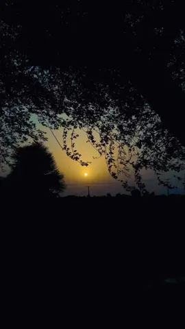 جب صبر کی عادت لگ جائے، تو شکایت کرنے کا دل نہیں کرتا۔🙂🍁✨💫#views #meh_alee #fypシ゚ #support_me #grow #tiktokviral #unfreezemyacount 