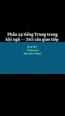 Phản xạ tiếng Trung trong khi ngủ -- 365 câu giao tiếp 