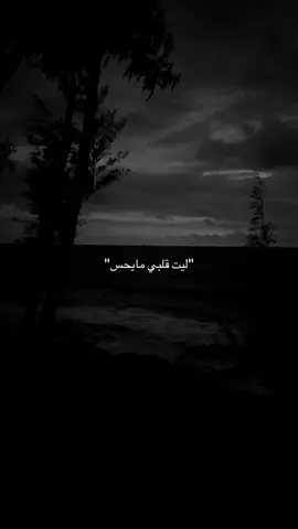 #تمنيتك #راشد_الماجد 