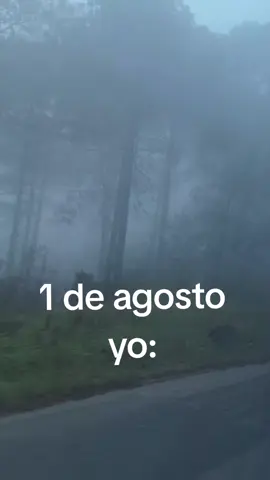 Yo a partir del 1 de agosto a las 00:00  #swiftie #folklore #taylorswift 