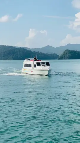 WELCOME TO PULAU TUBA BESTUBA 5 🐬😍  #bestuba #botbestuba #foryoupagе #fypviral #fypシ゚ #pulautuba 