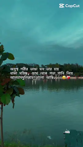 অসুস্থ শরীর ভাঙা মন ভার হয়ে থাকা মস্তিষ্ক, চোখ থেকে পড়া পানি নিয়ে আলহামদুলিল্লাহ ভালো আছি..!!😅❤️‍🩹