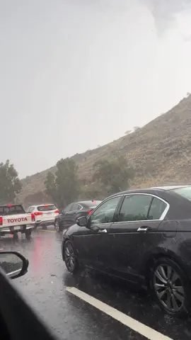 #الطايف #الهدا #الشفا #عشوايات #تصويري #مطر #taktok 